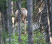Montana2008 127